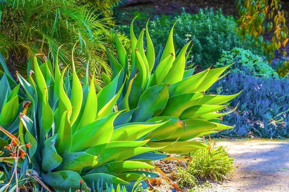 10213 Corte Tierra Baja