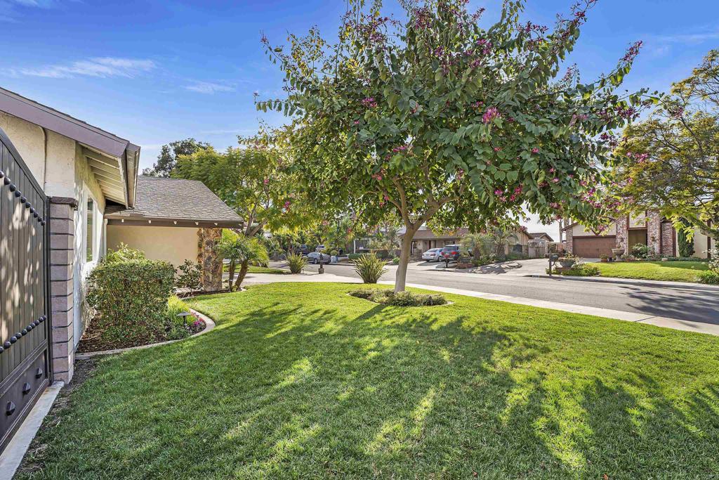 6534 Avenida Del Paraiso