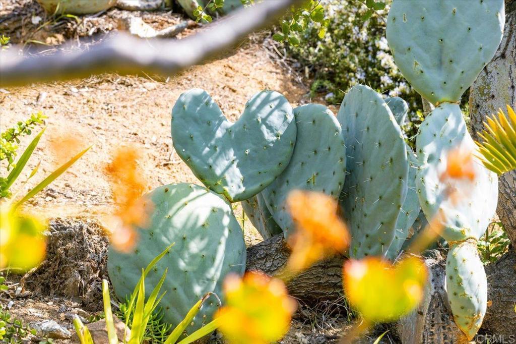 271 Stewart Canyon Road