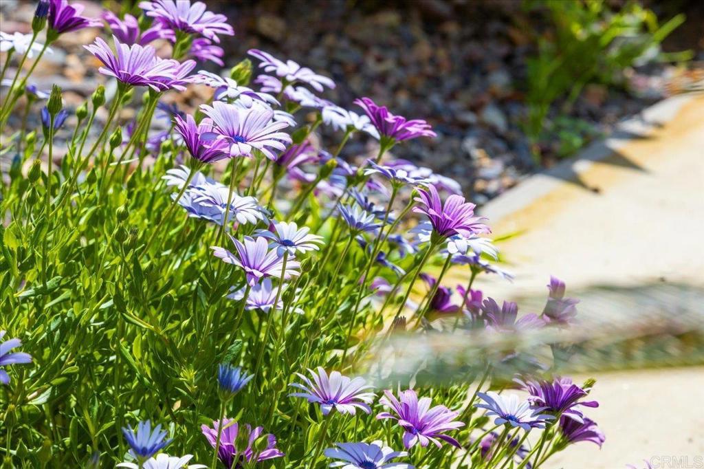 271 Stewart Canyon Road