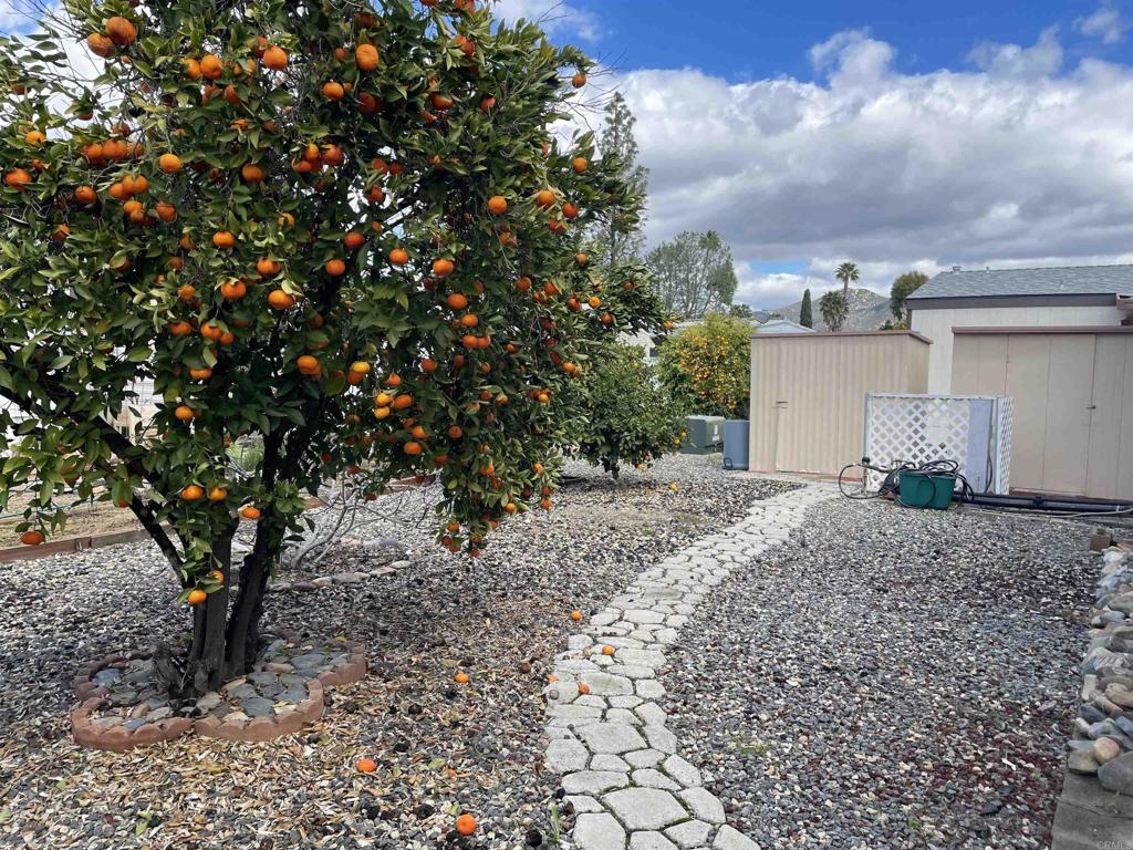 2300 E Valley Parkway SPC 220