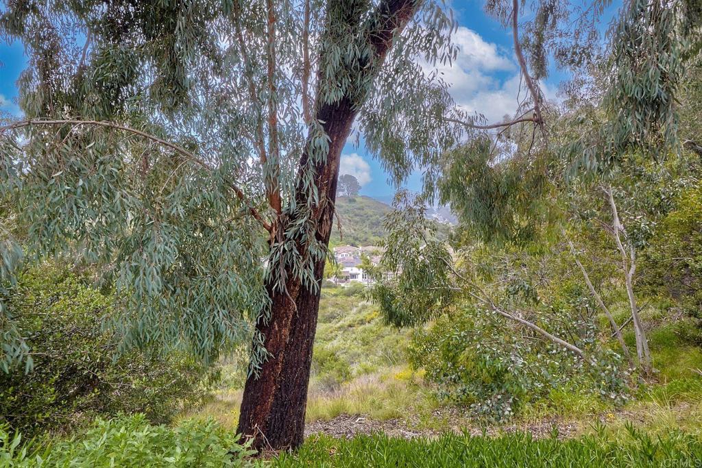 1527 Calle Ryan
