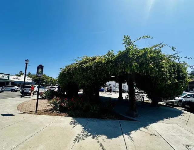 325 N Citrus Avenue