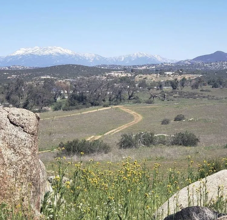 Spring Creek
