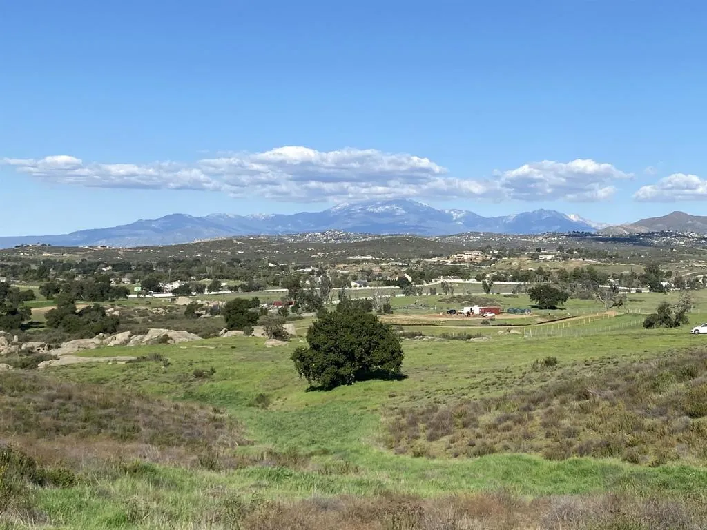 Spring Creek