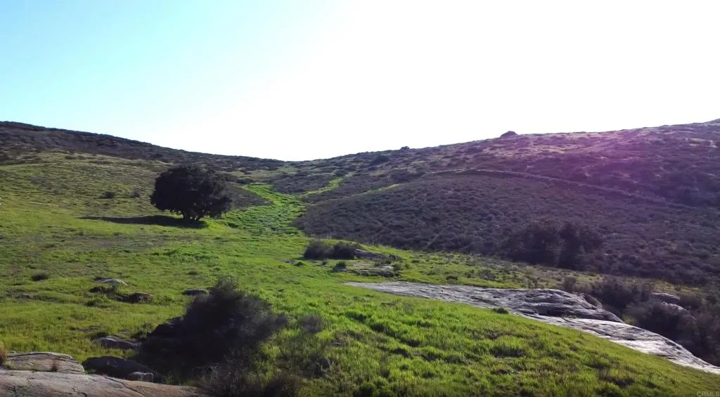 Spring Creek