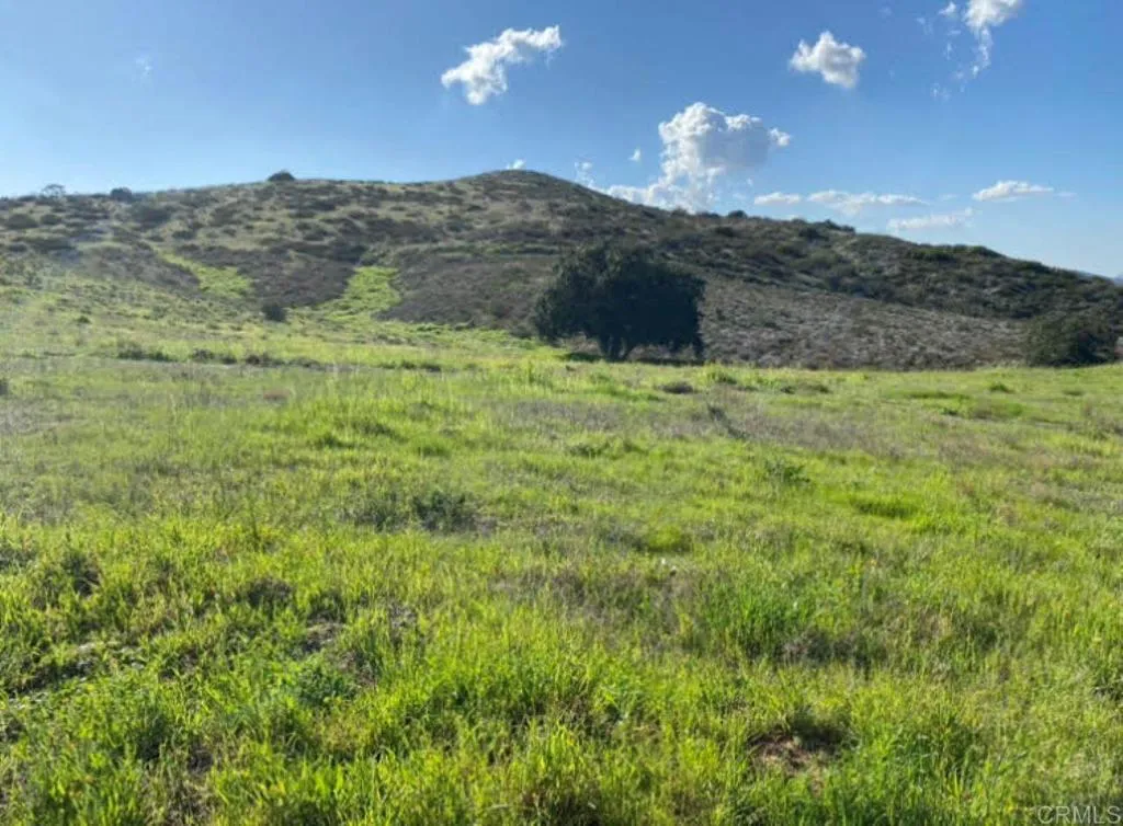 Spring Creek