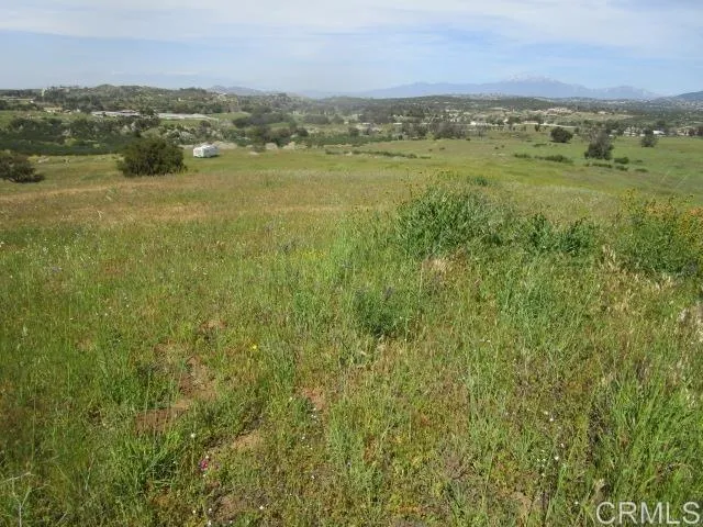 Spring Creek