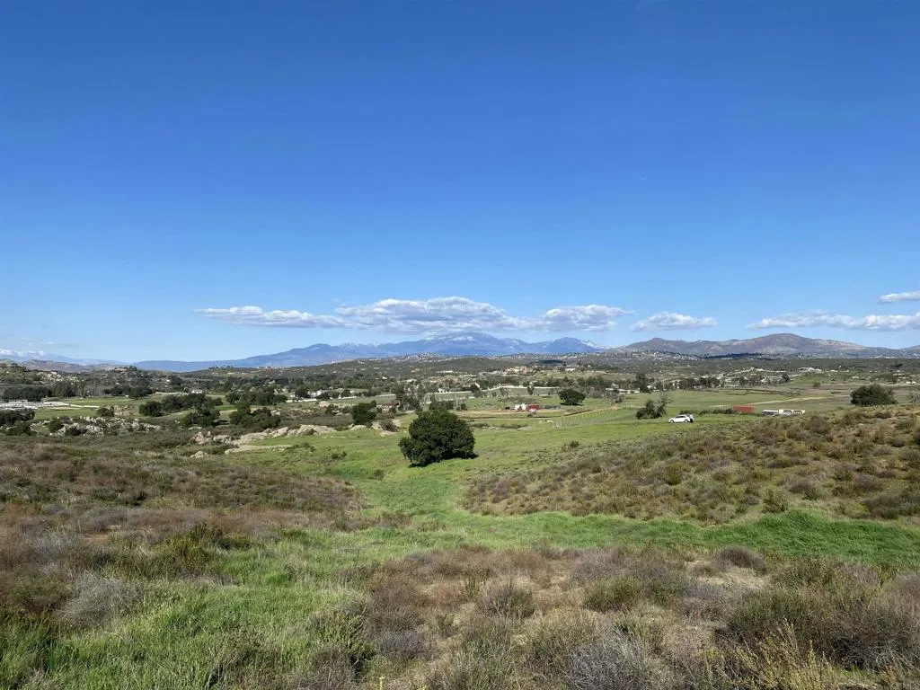 Spring Creek