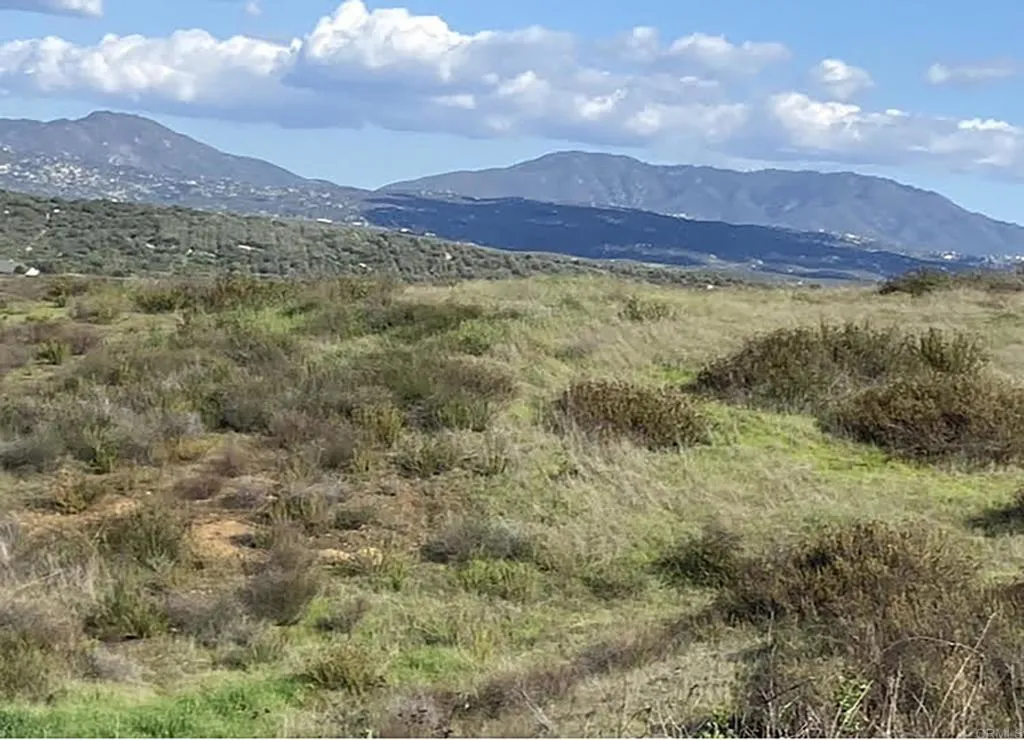 Spring Creek