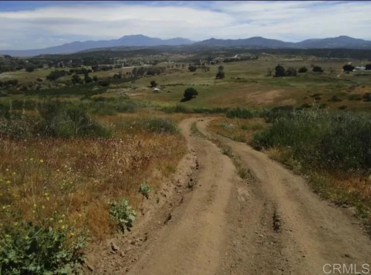 Spring Creek