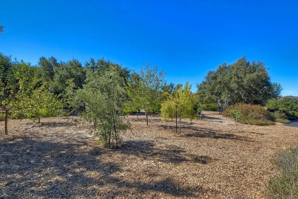 27119 Calle De Encinas Ct