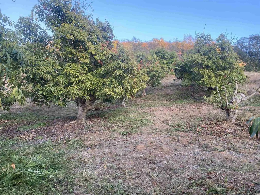 1313 Rice Canyon Rd