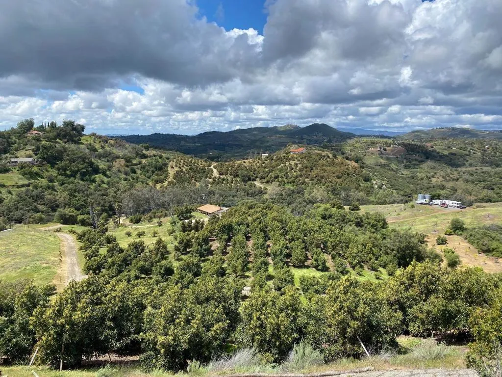 1313 Rice Canyon Rd