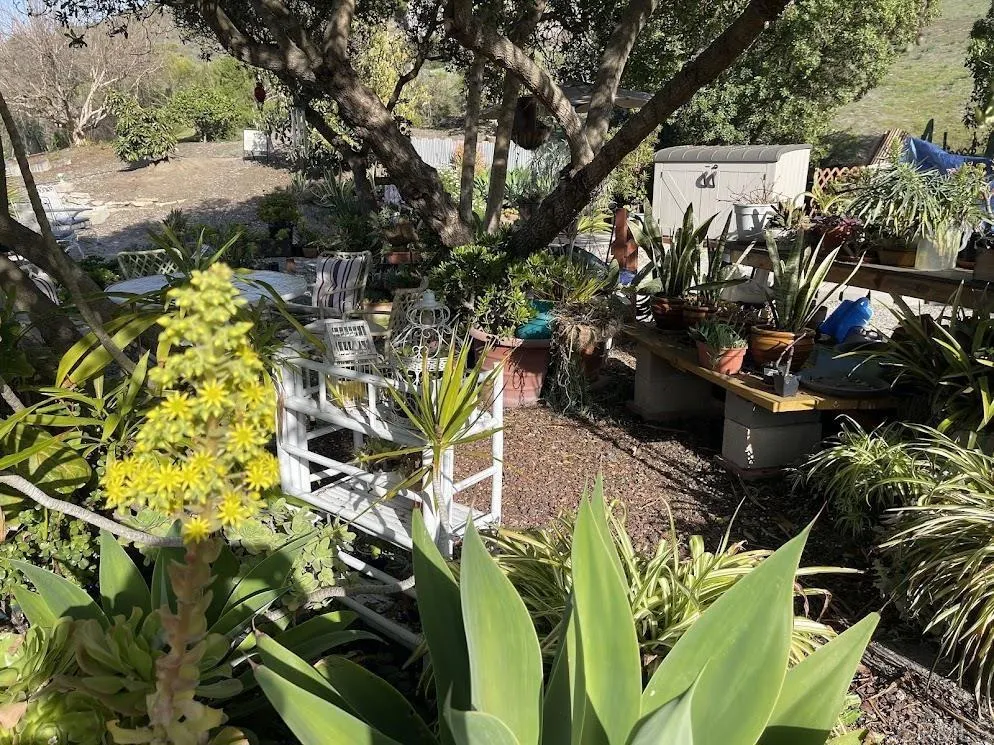 3685 Vista Campana N # 16