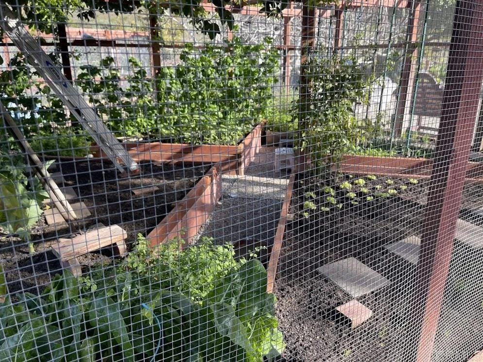 3685 Vista Campana N # 16