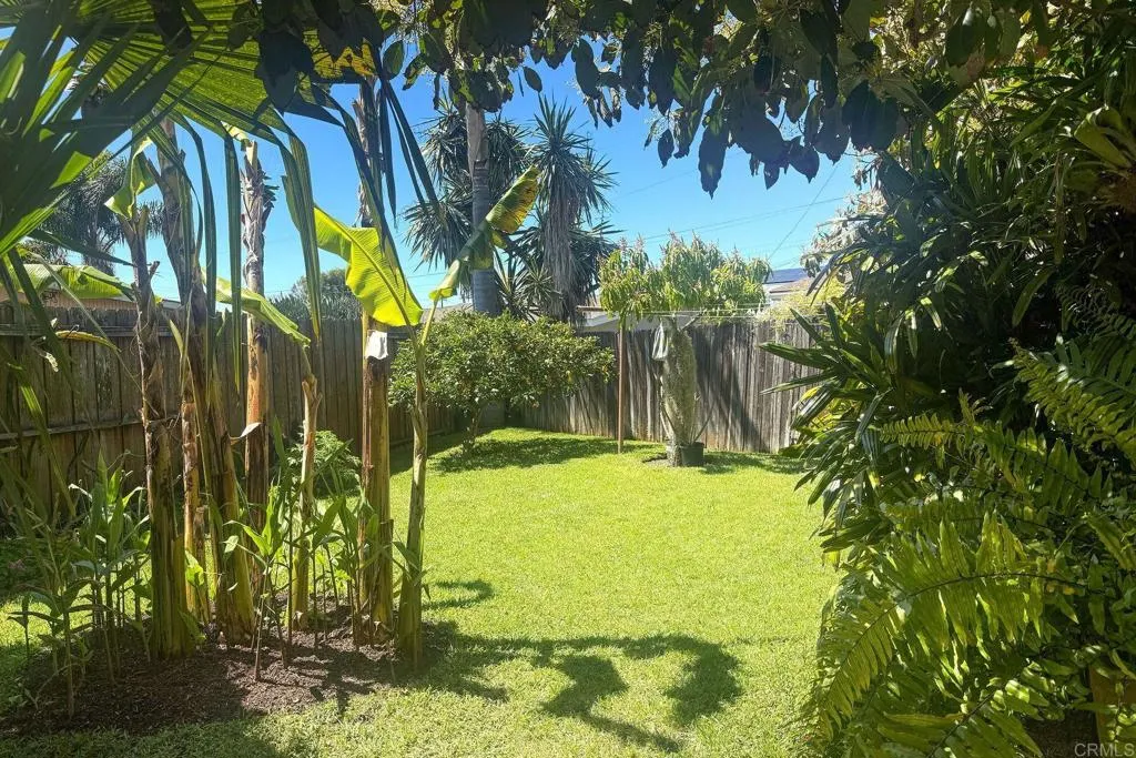 790 Avocado Lane