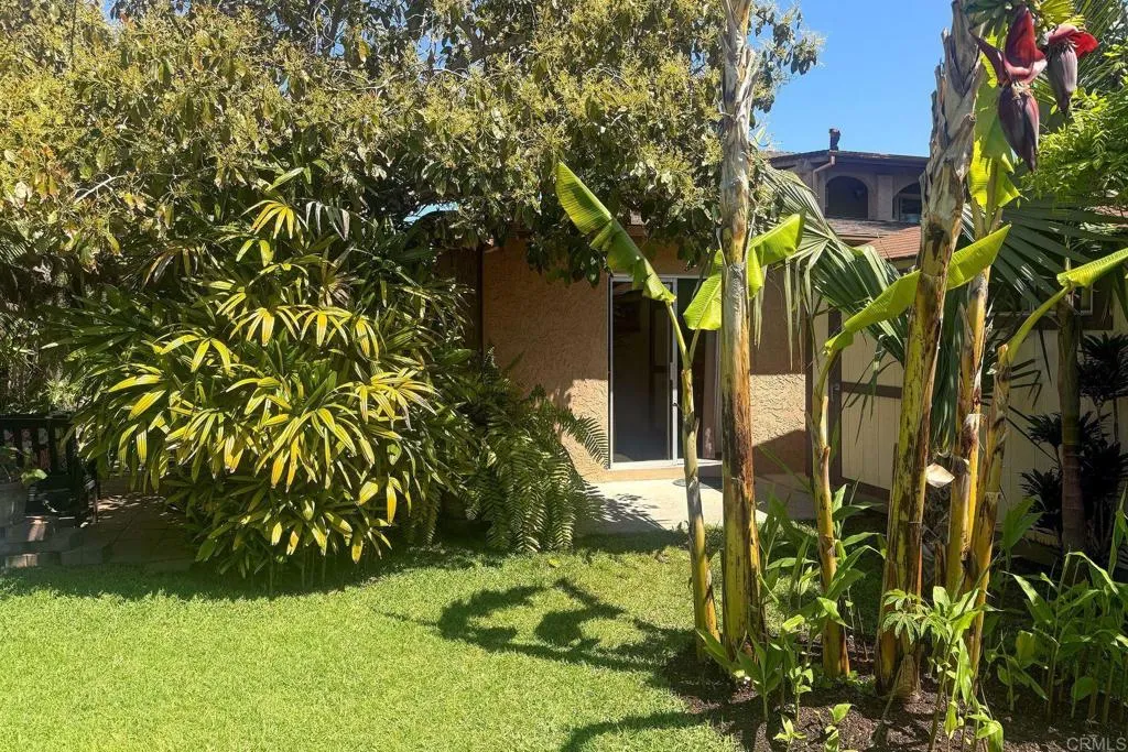 790 Avocado Lane