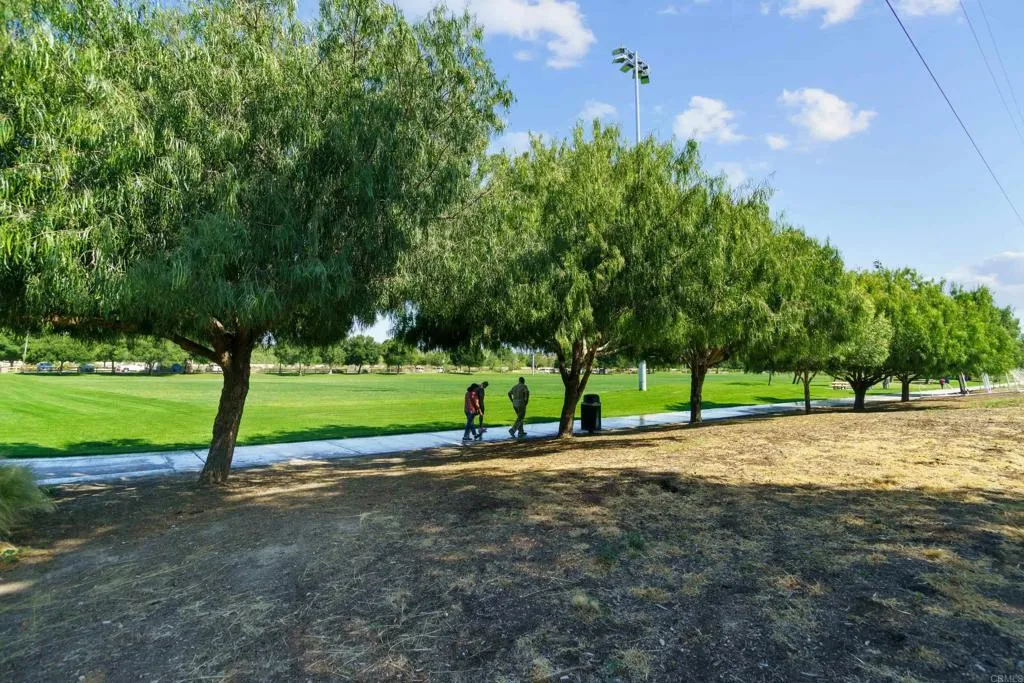 241 Saguaro Place