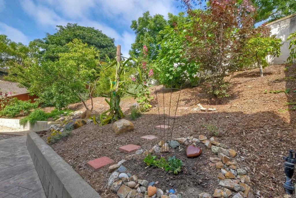 339 Diamante Way