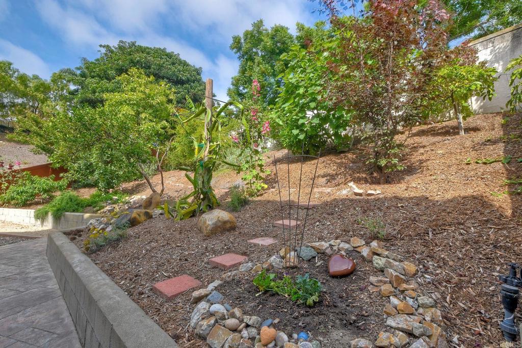 339 Diamante Way