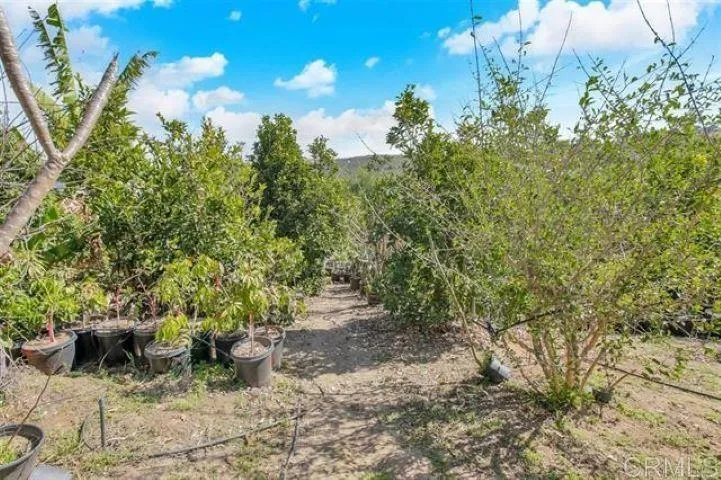 2081 Elevado Road