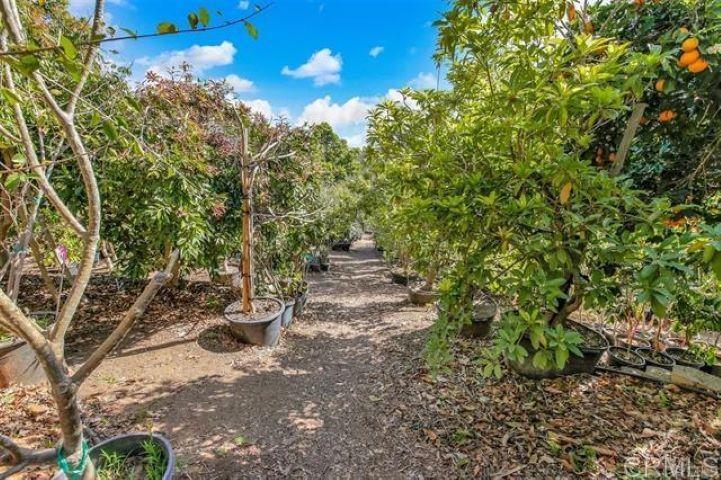 2081 Elevado Road
