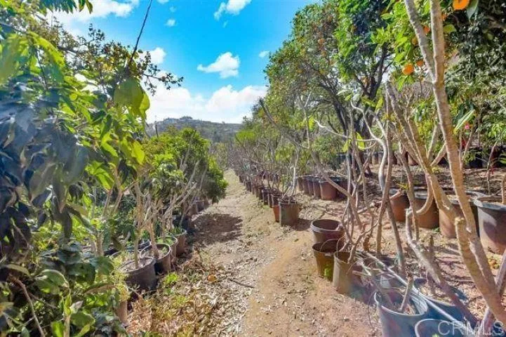 2081 Elevado Road