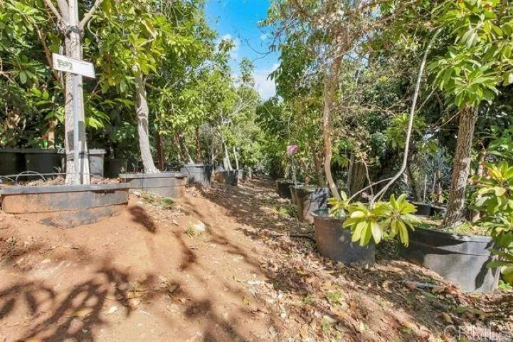 2081 Elevado Road