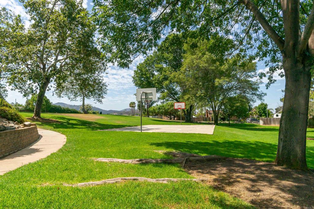 1337 Calle Colnett
