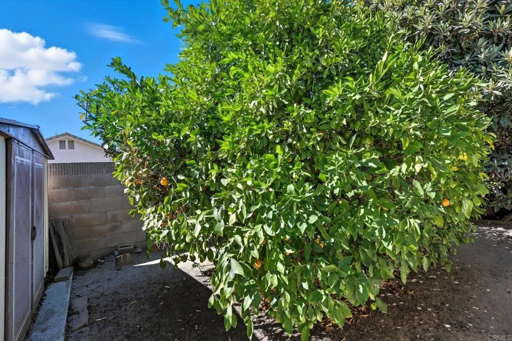 25295 Auld, Hemet
