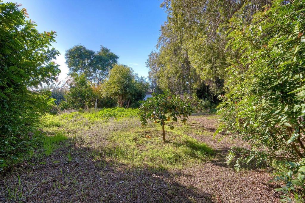 2035 Basswood Avenue