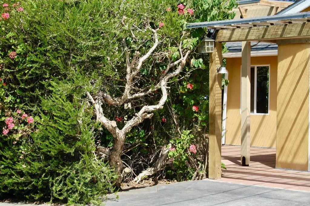 736 Mar Vista Drive