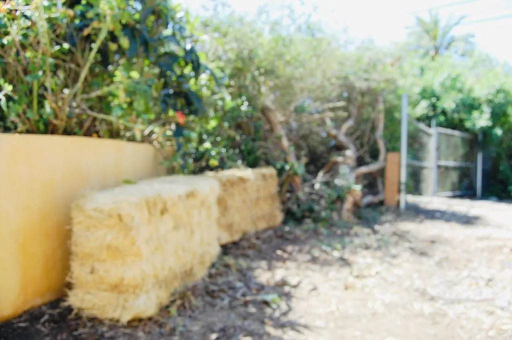 736 Mar Vista Drive