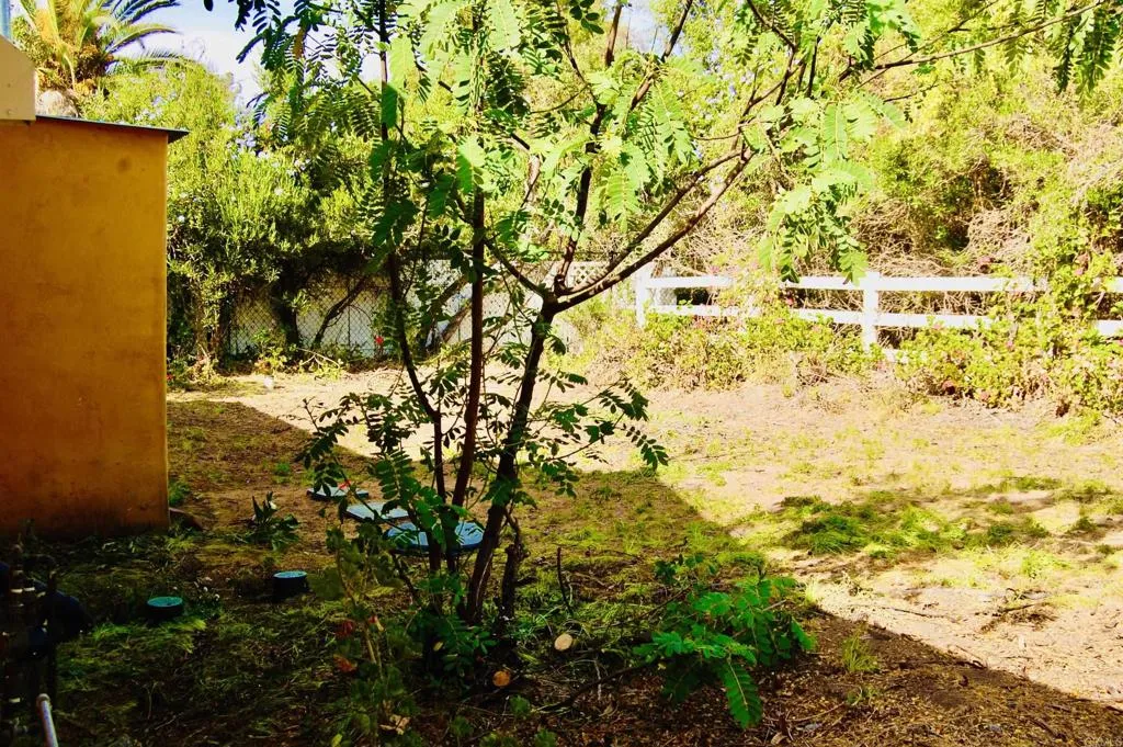 736 Mar Vista Drive