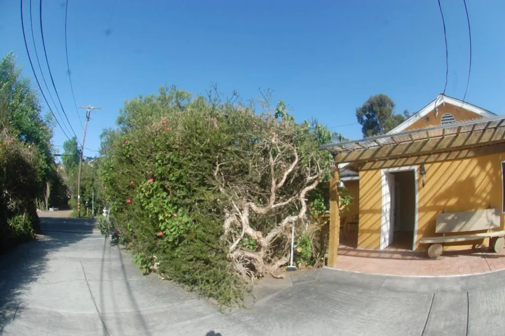 736 Mar Vista Drive
