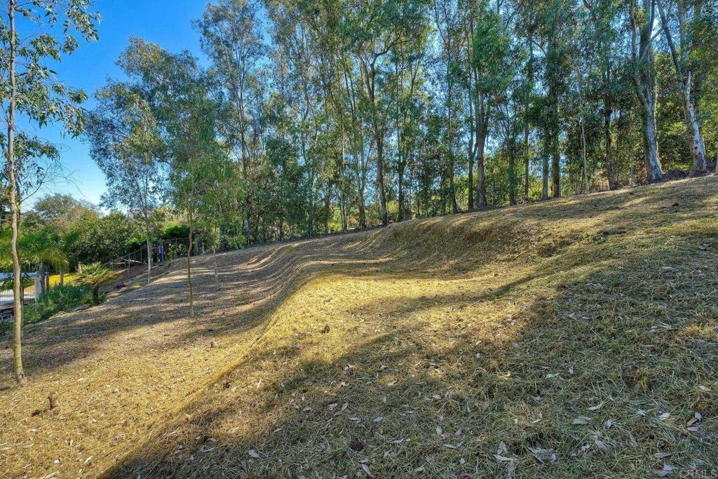 2830 Green Canyon Road