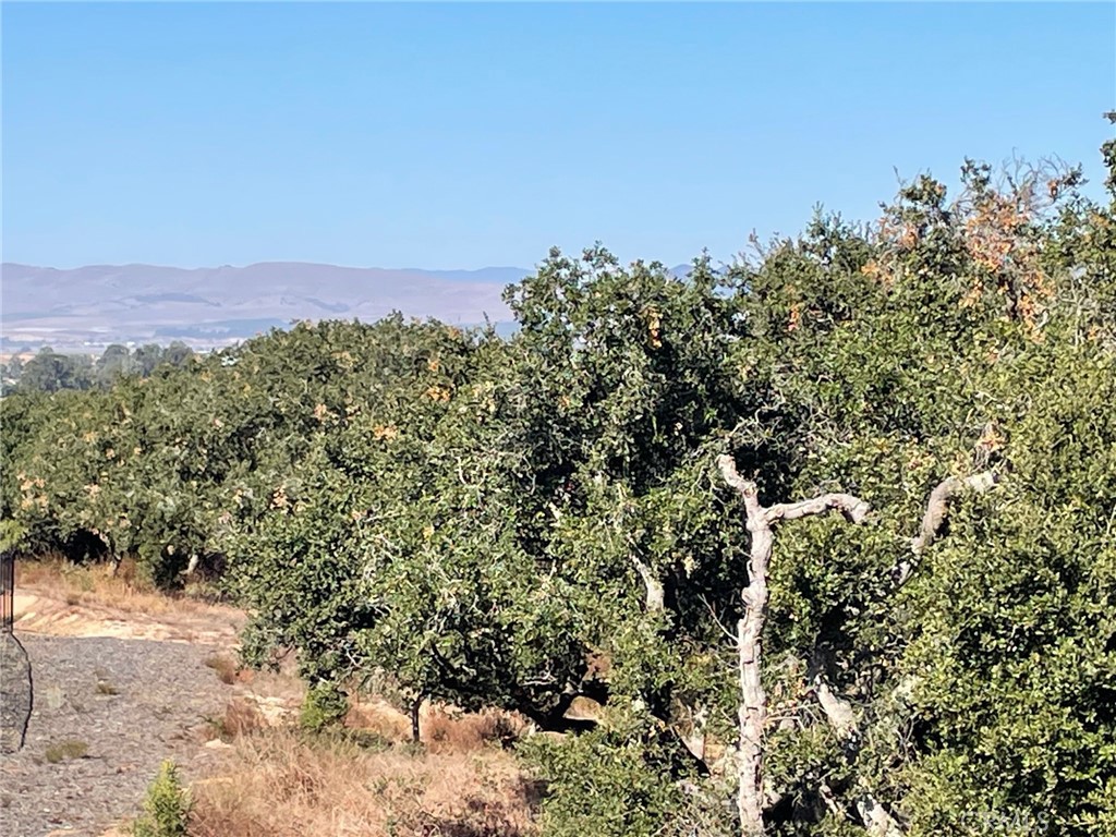 1517 Copperberry Way