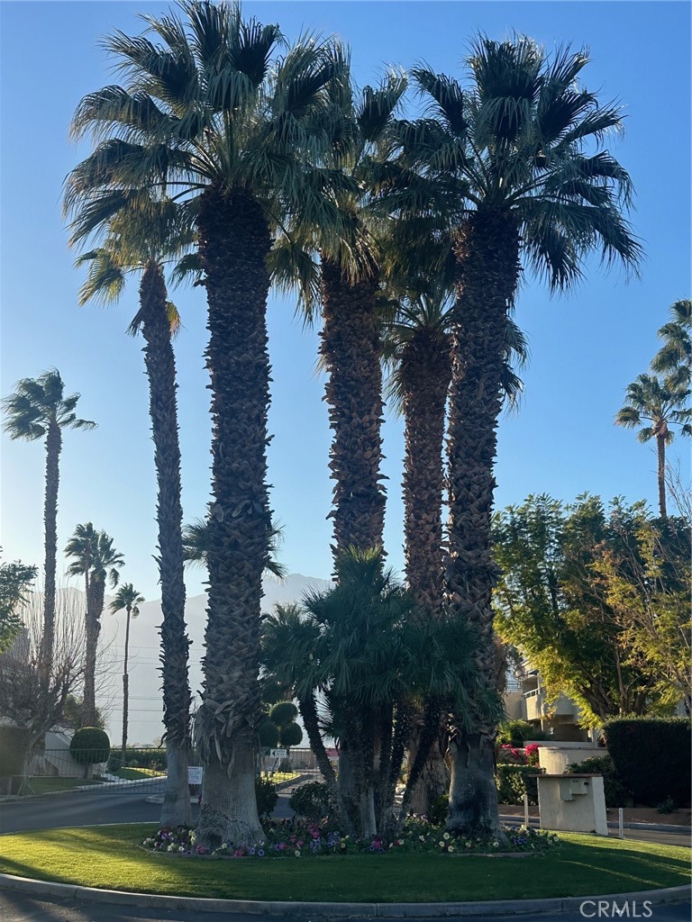 32505 Candlewood Dr 54