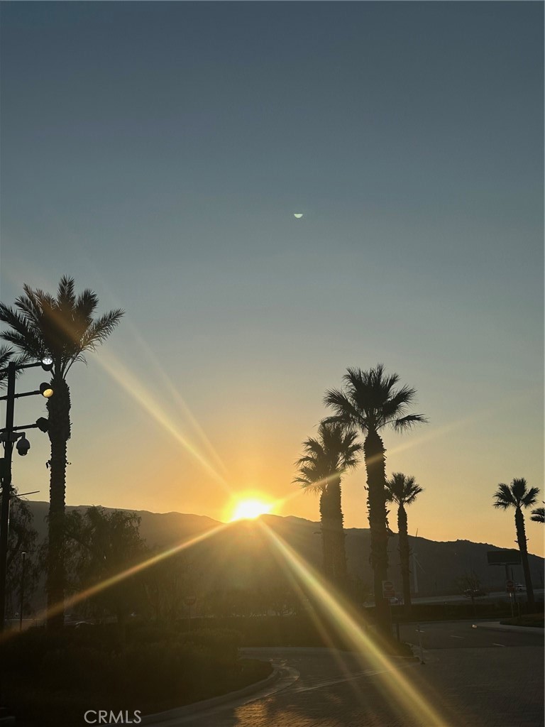 32505 Candlewood Dr 54