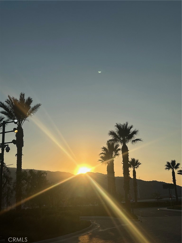 32505 Candlewood Dr 54