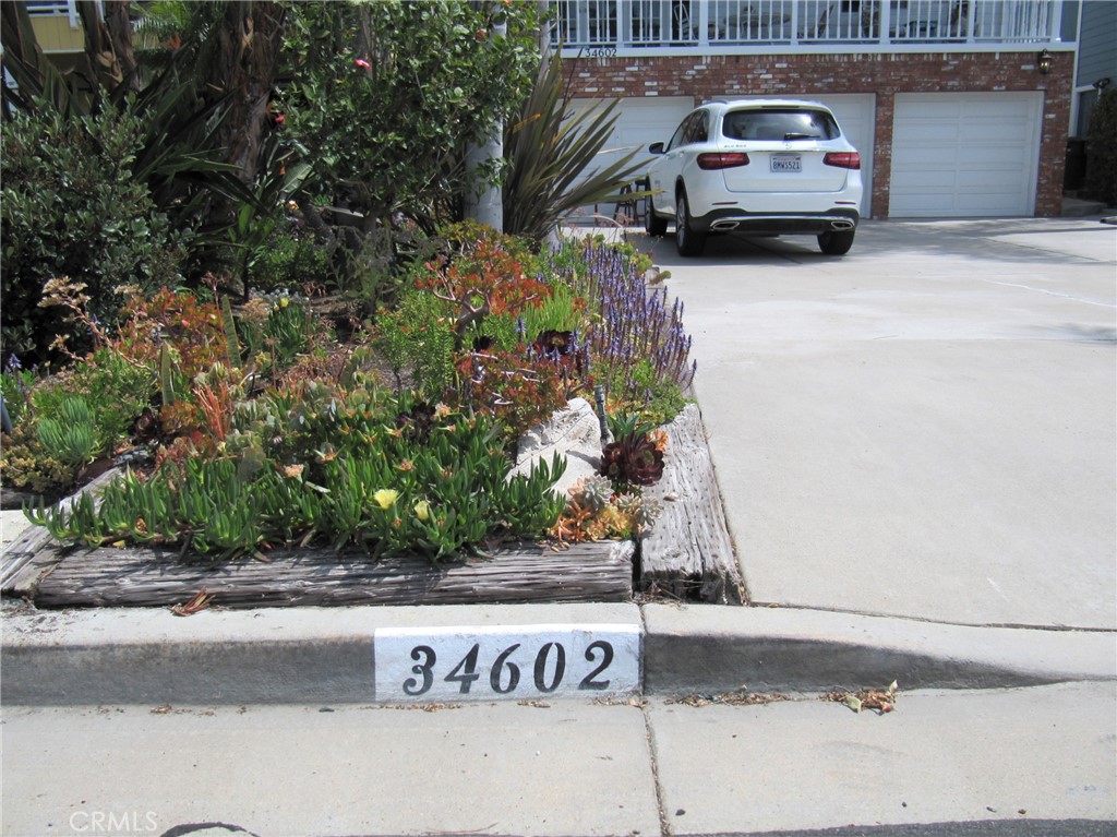 34602 Camino Capistrano B