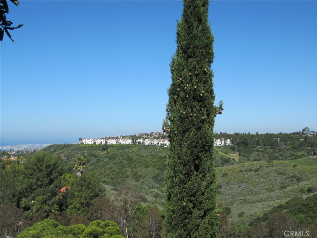 17 Savona Court