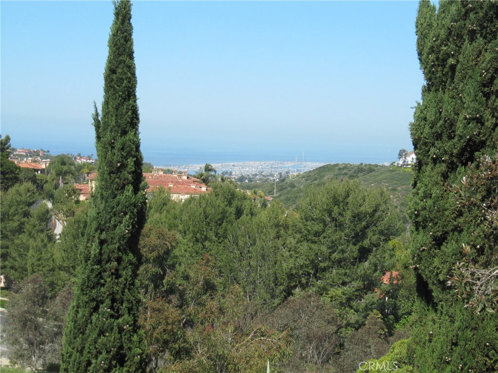 17 Savona Court