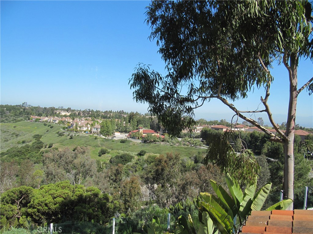 17 Savona Court