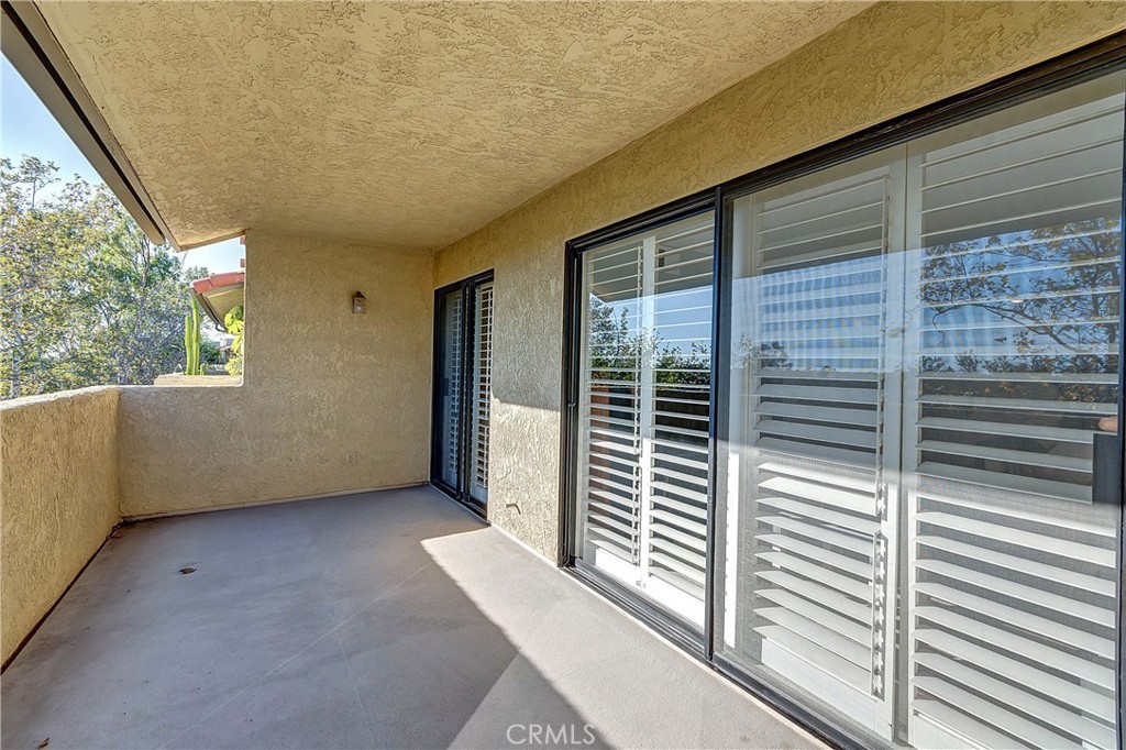 25224 Birch Grove Lane 3