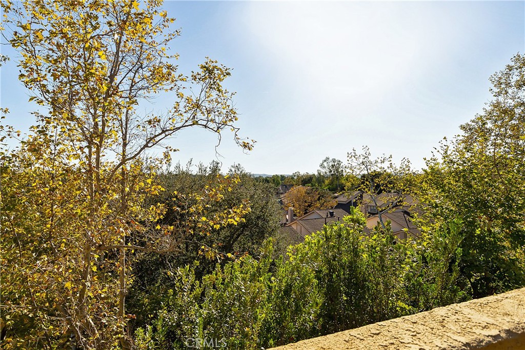 25224 Birch Grove Lane 3