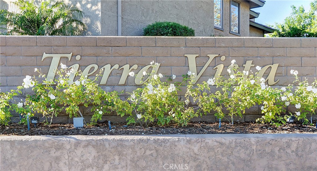 25224 Birch Grove Lane 3