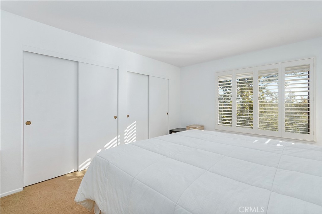 25224 Birch Grove Lane 3