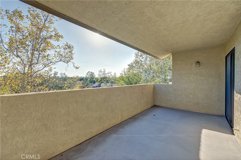 25224 Birch Grove Lane 3